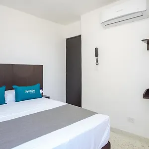 book here